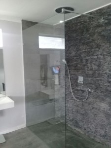Frameless Shower 1
